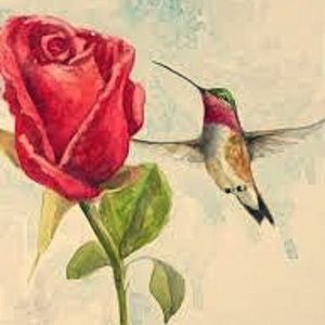 Meet your Posher, Betty